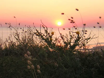 Huttes Beach, Saint-Denis-d'Oléron, Nouvelle-Aquitaine, France — 2