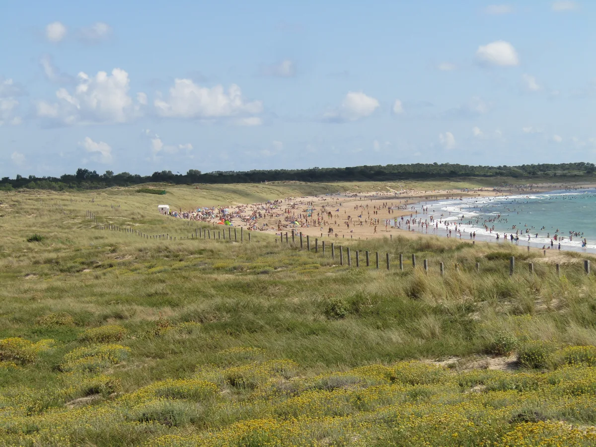 Huttes Beach, Saint-Denis-d'Oléron, Nouvelle-Aquitaine, France