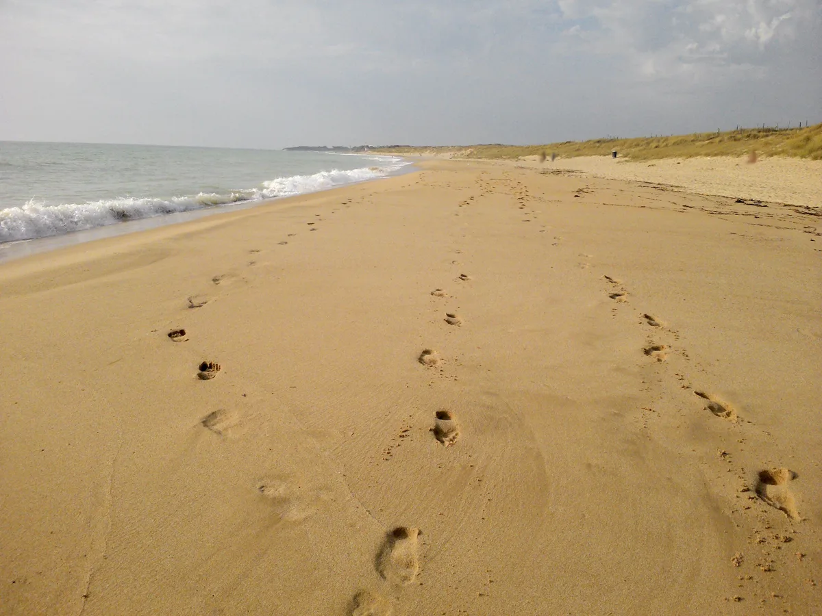 Huttes Beach, Saint-Denis-d'Oléron, Nouvelle-Aquitaine, France — 5