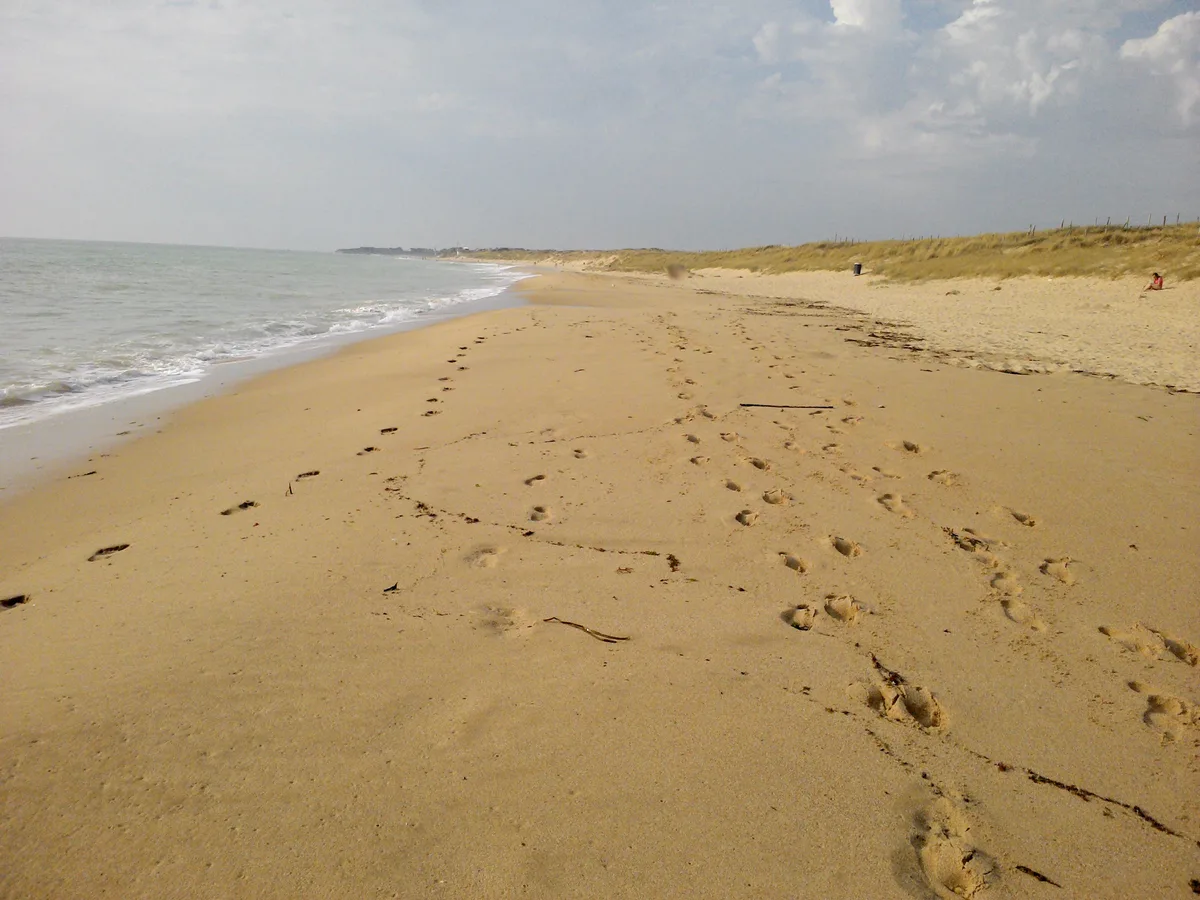 Huttes Beach, Saint-Denis-d'Oléron, Nouvelle-Aquitaine, France — 3