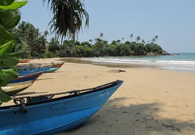 Dickwella Beach, Dickwella, Southern Province, Sri Lanka