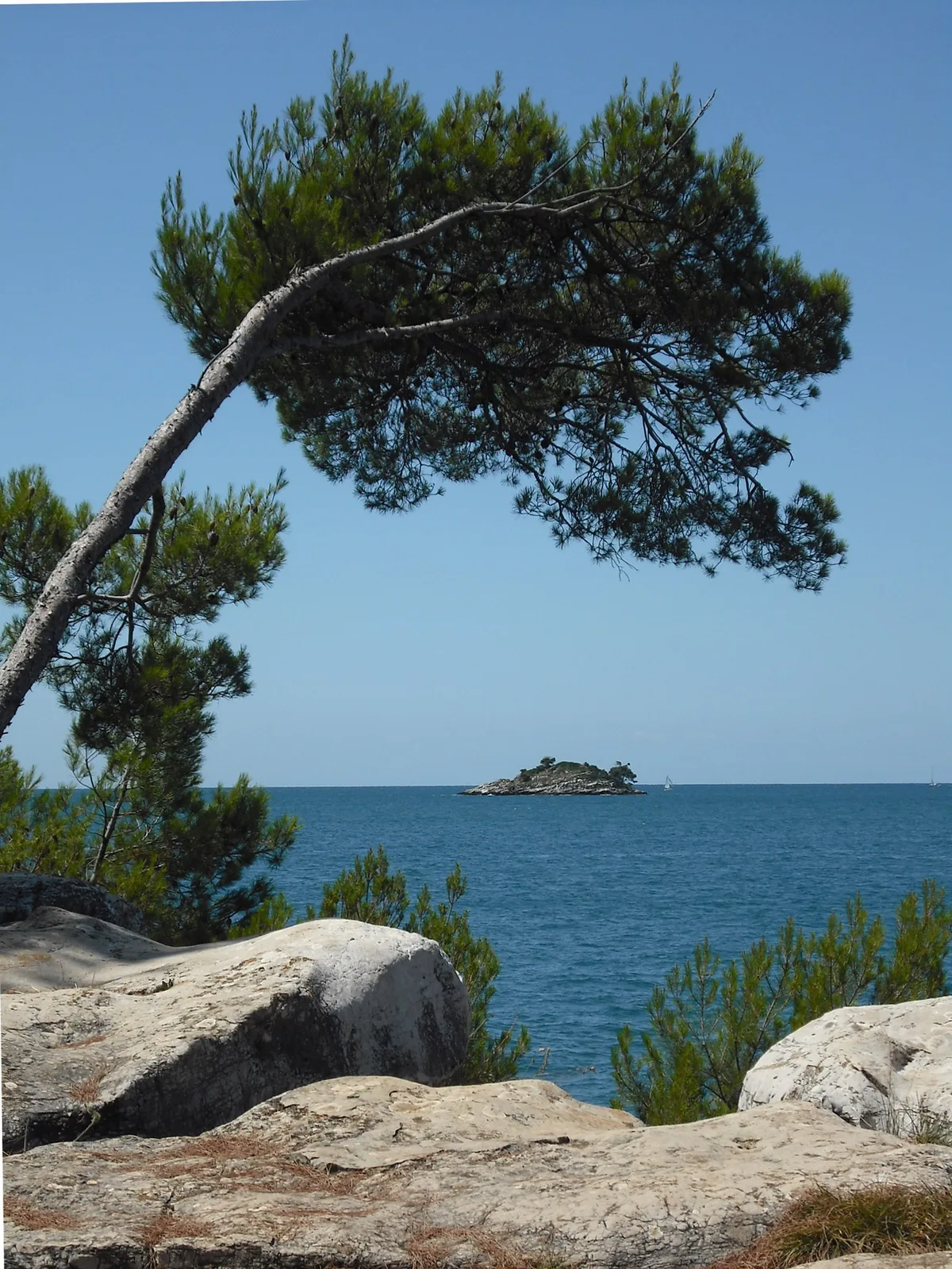 Zlatni rt Beach, Rovinj, Istria, Croatia — 5