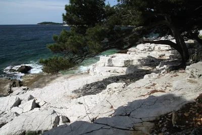 Zlatni rt Beach