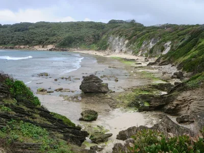 Middle Beach, Lord Howe Island, Australian Pacific Islands, Australia — 2