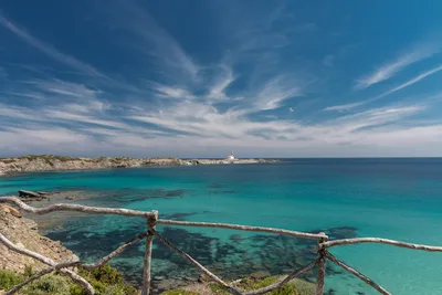 Tortuga Beach