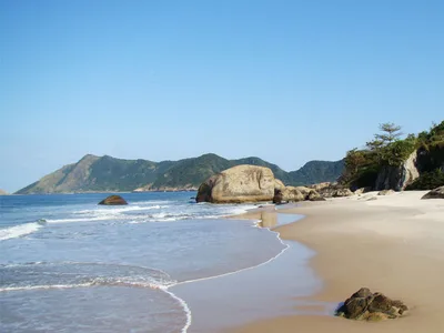 Abricó Beach, Rio de Janeiro, Brazilian Atlantic, Brazil — 3