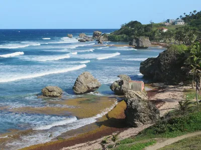 Bathsheba Beach, Saint Joseph, Lesser Antilles, Barbados — 2