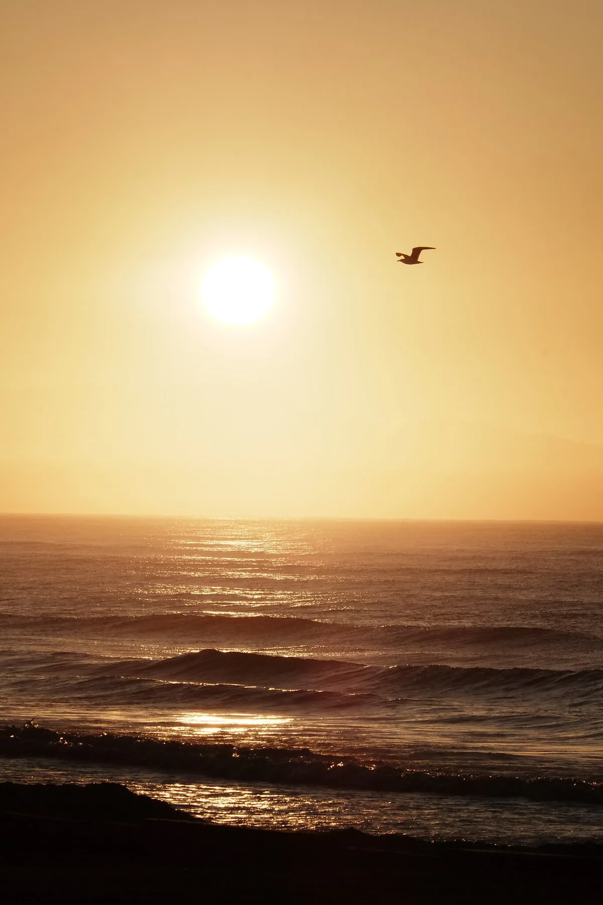 Muizenberg Beach, City of Cape Town, Western Cape, South Africa — 3