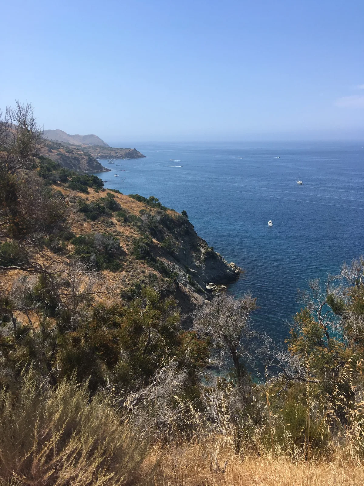 Cherry Cove Beach, Two Harbors, California Islands, United States — 4