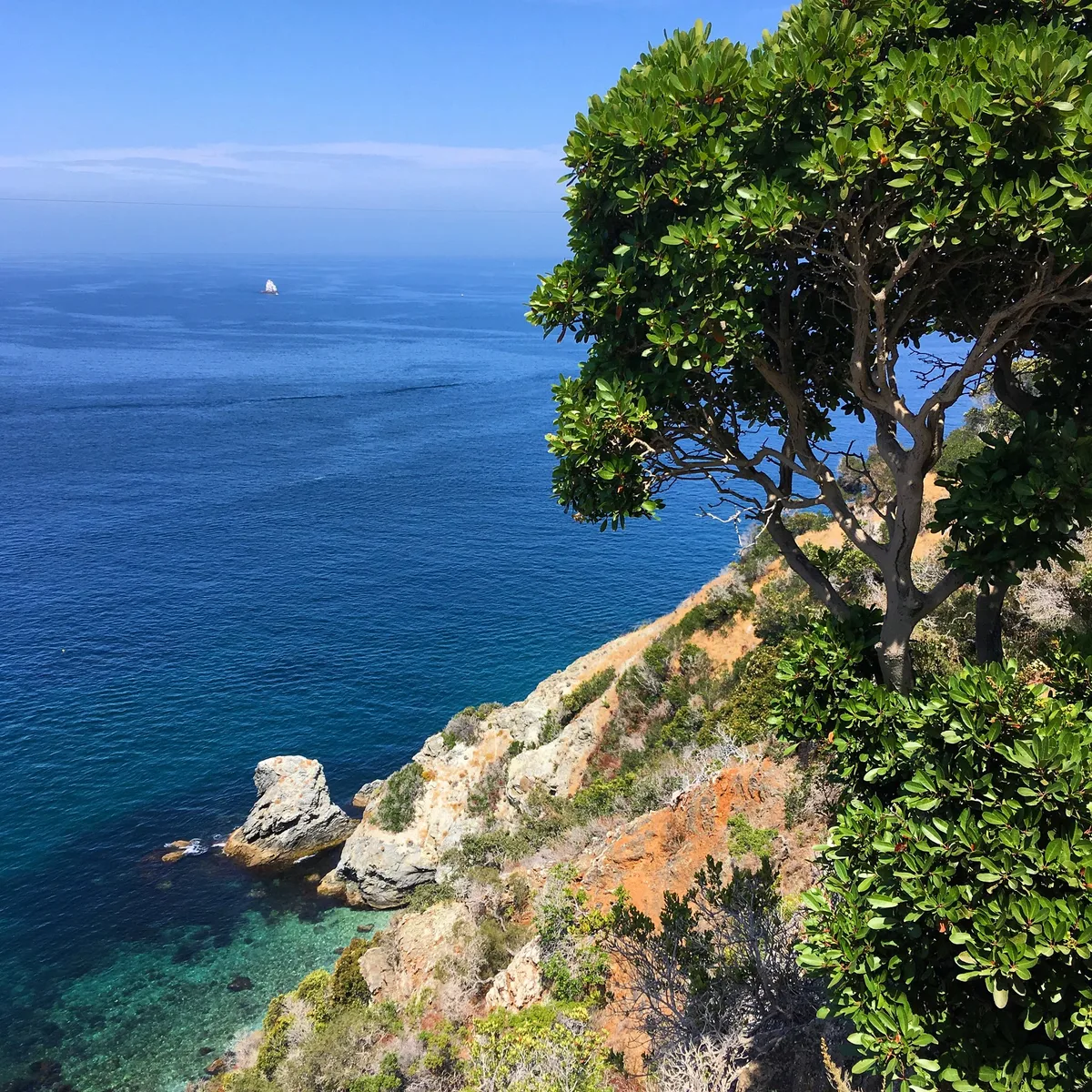 Cherry Cove Beach, Two Harbors, California Islands, United States — 2