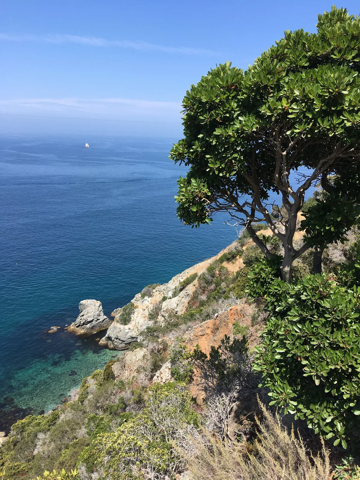 Cherry Cove Beach, Two Harbors, California Islands, United States — 3