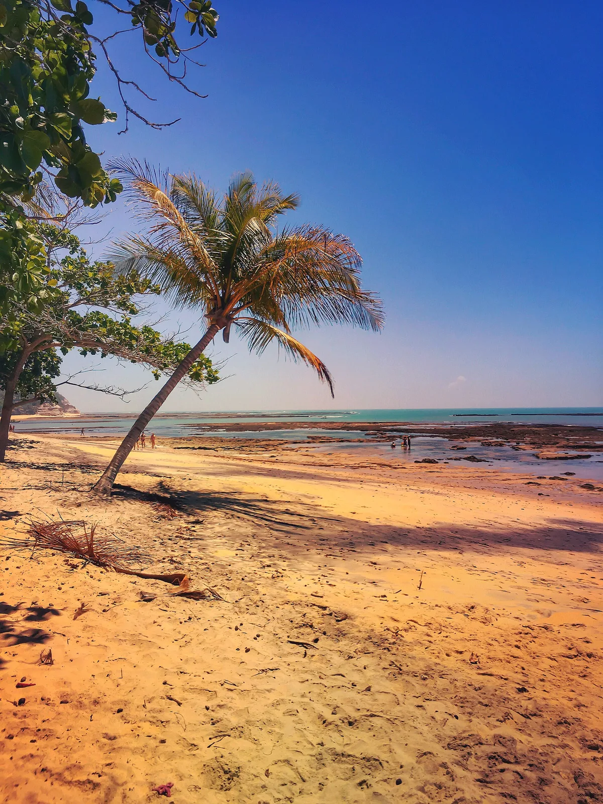 Curuípe Beach, Prado, Brazilian Atlantic, Brazil