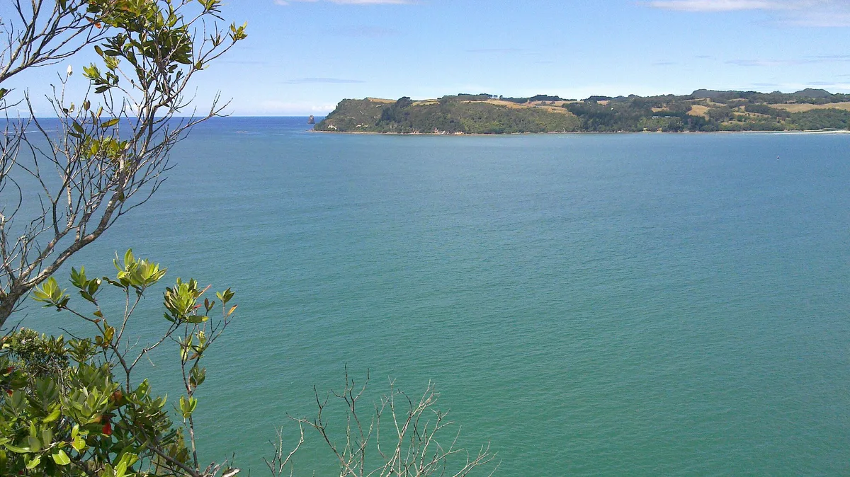 Flaxmill Bay Beach, Cooks Beach, Waikato, New Zealand — 5