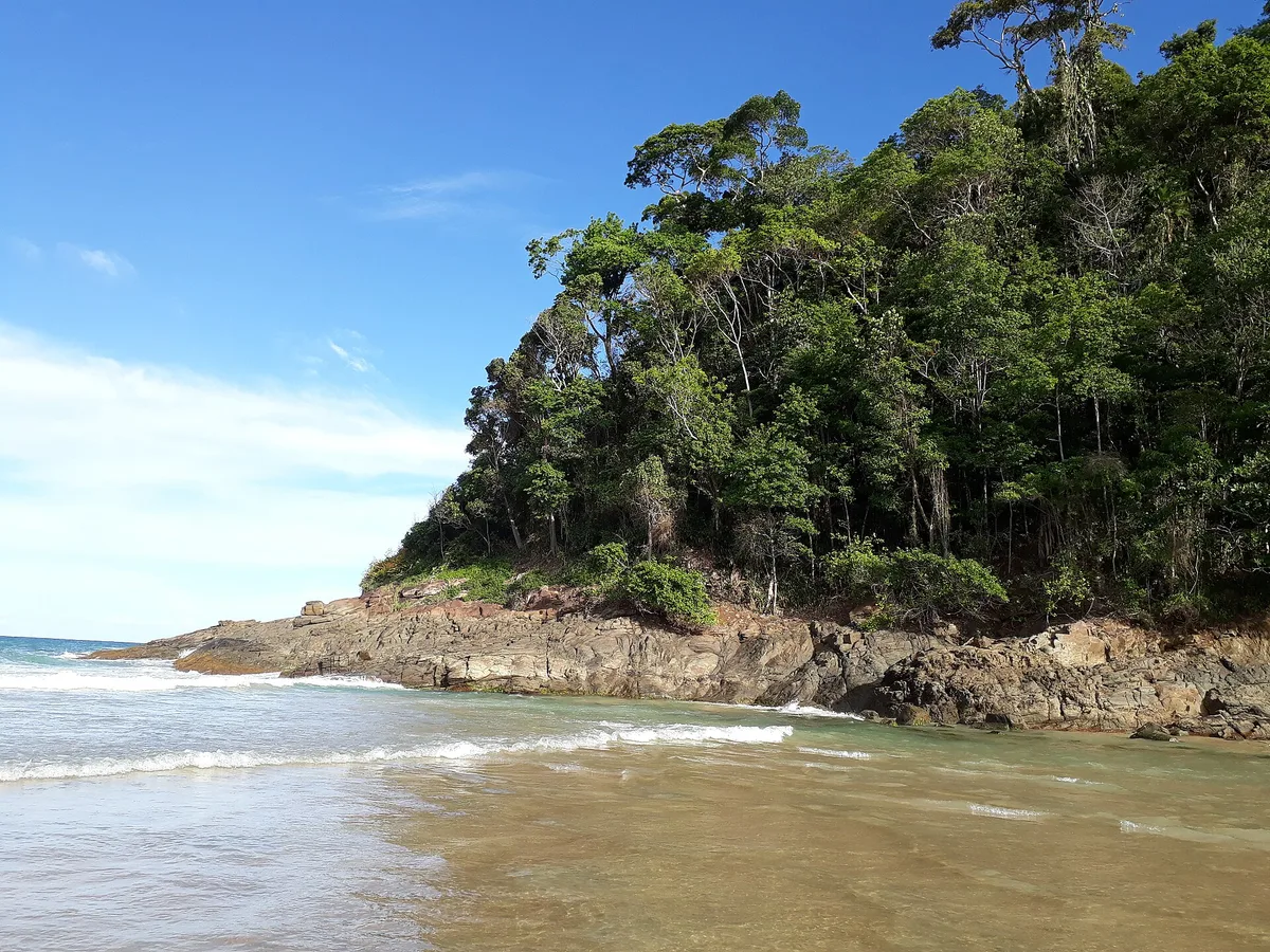 Itacaré Beach, Itacaré, Brazilian Atlantic, Brazil — 2