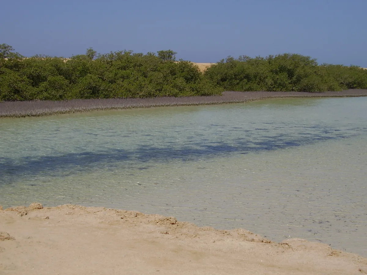 Ras Muhammad Beach, Ras Mohammed National Park, South Sinai, Egypt — 4