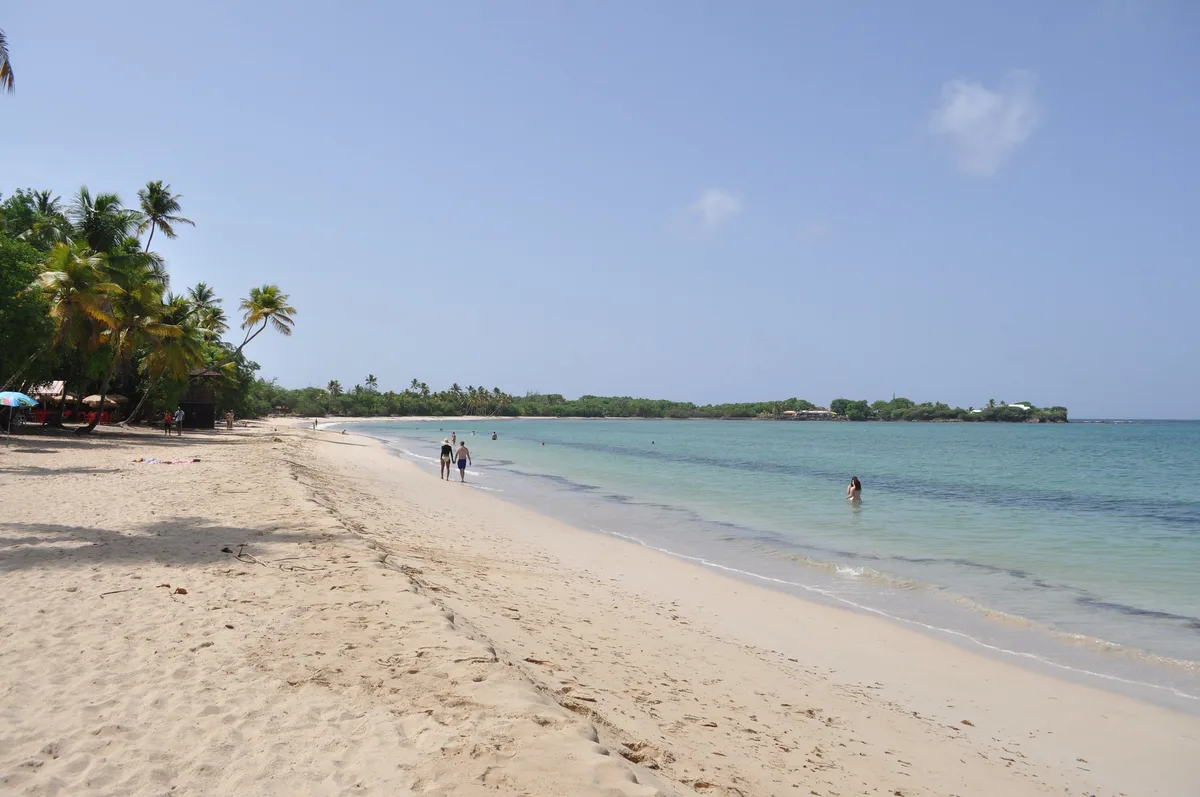 Salines Beach, Sainte-Anne, Martinique, France — 3