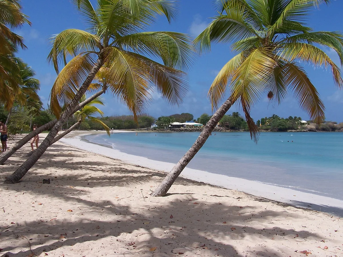 Salines Beach, Sainte-Anne, Martinique, France — 6