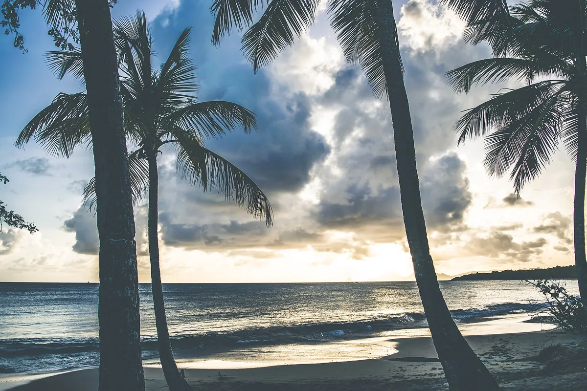 Salines Beach, Sainte-Anne, Martinique, France — 5