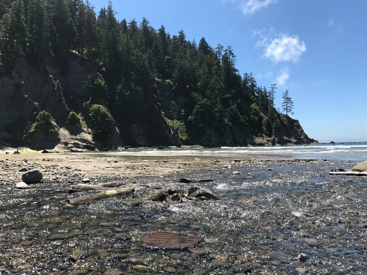Short Sand Beach, Arch Cape, Pacific Northwest, United States — 5