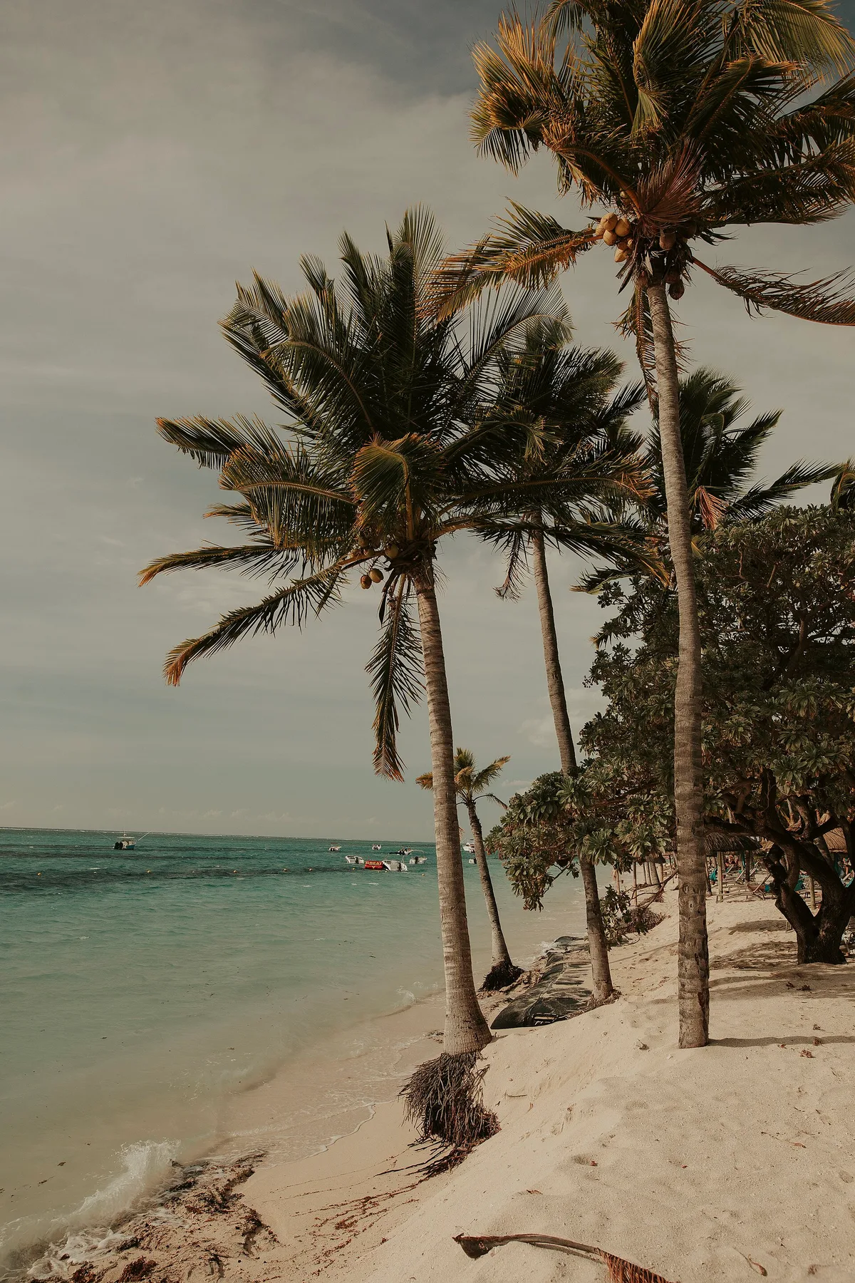 Pointe aux Piments Beach, Pamplemousses, Mascarene Islands, Mauritius — 3