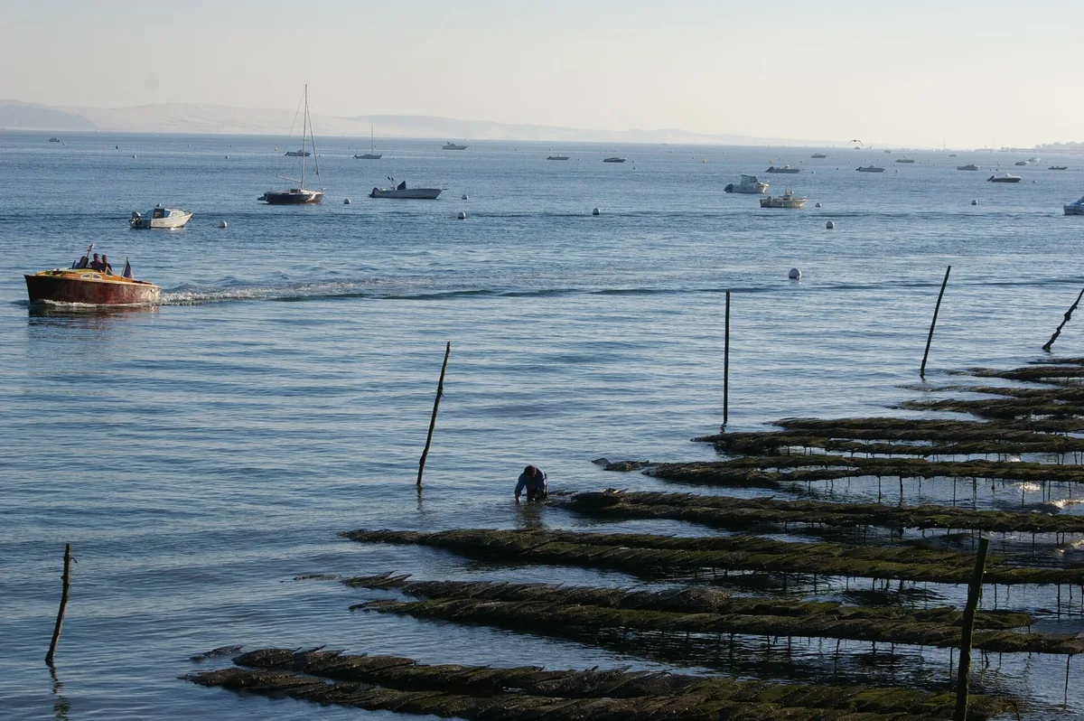 L'Herbe Beach, Lège-Cap-Ferret, Nouvelle-Aquitaine, France — 2