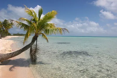 Rangiroa Public Beach, Rangiroa, Polynésie française, France — 6
