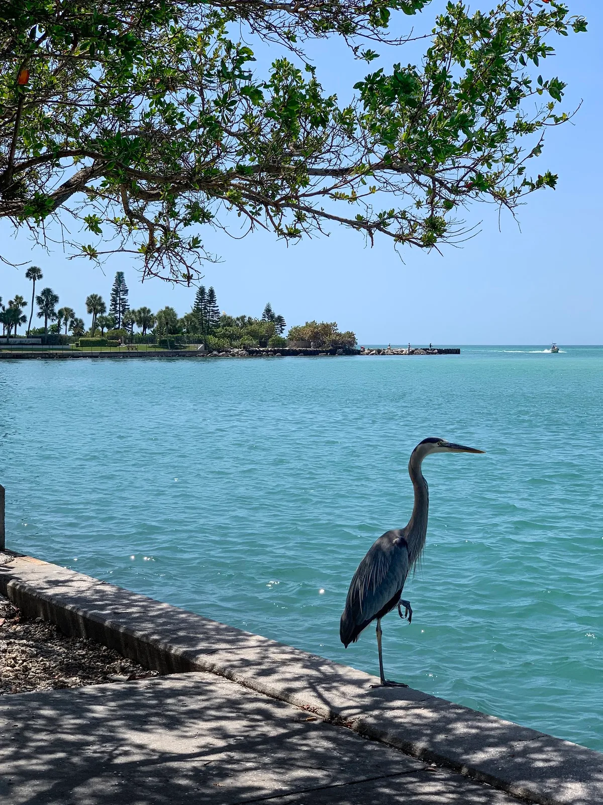 St. Pete Beach, St. Pete Beach, Florida Gulf, United States