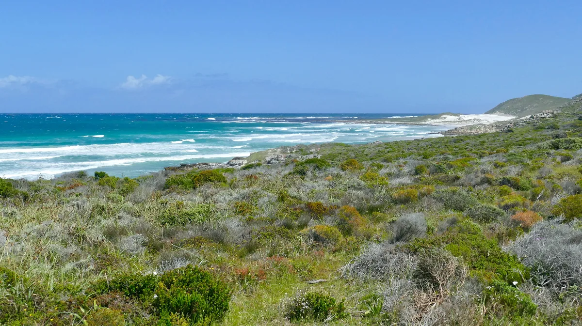 Platboom Beach, City of Cape Town, Western Cape, South Africa — 6