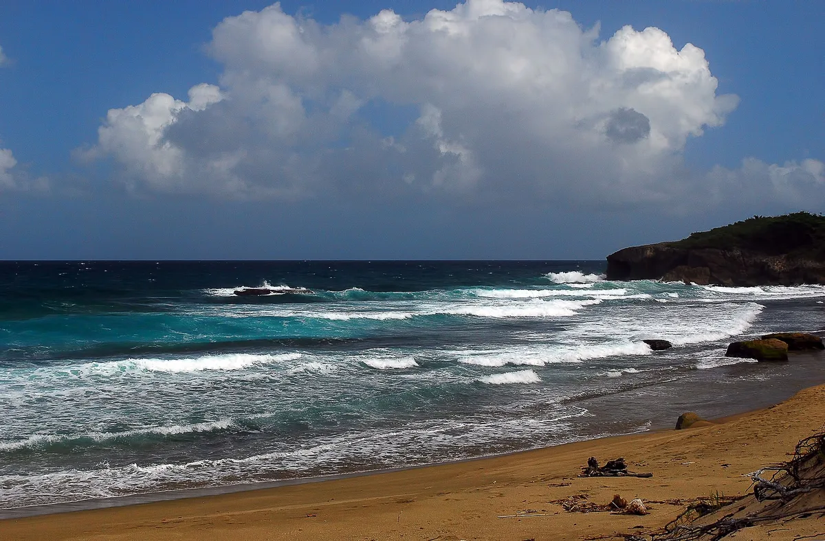 Jobos Beach, Isabela, Greater Antilles, Puerto Rico — 4