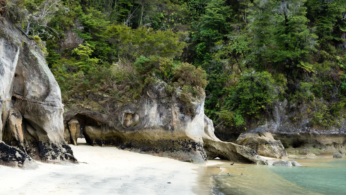 Anchorage Beach, Tasman District, Nelson-Tasman, New Zealand — 4