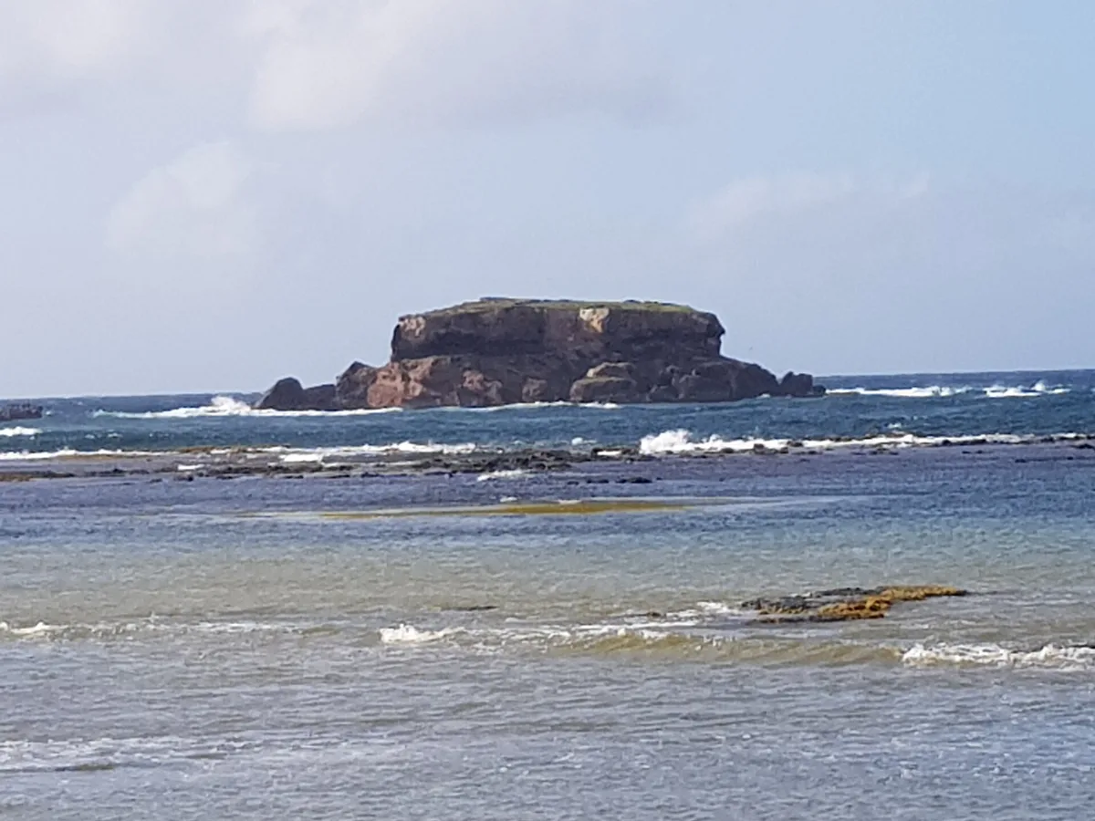 Anse à Prunes Beach, Sainte-Anne, Martinique, France — 4