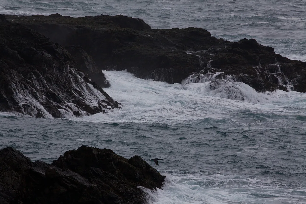 Mendocino Headlands State Beach, Mendocino, California Coast, United States