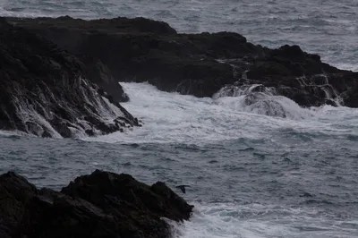 Mendocino Headlands State Beach