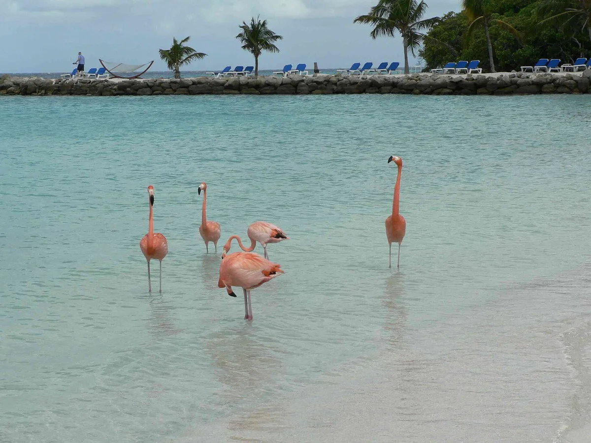 Surfside Beach, Oranjestad, Lesser Antilles, Aruba