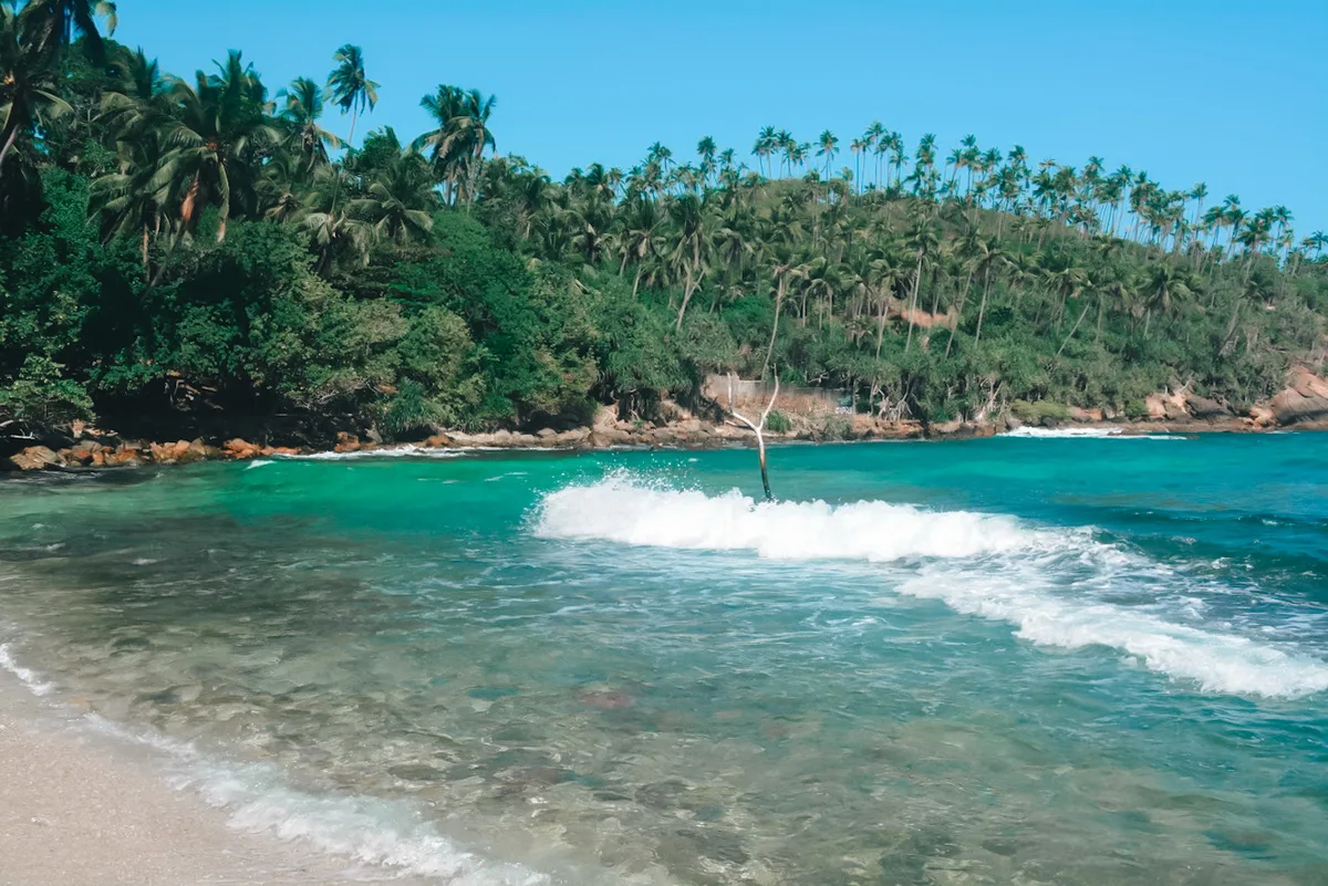 Mirissa Beach, Mirissa, Southern Province, Sri Lanka