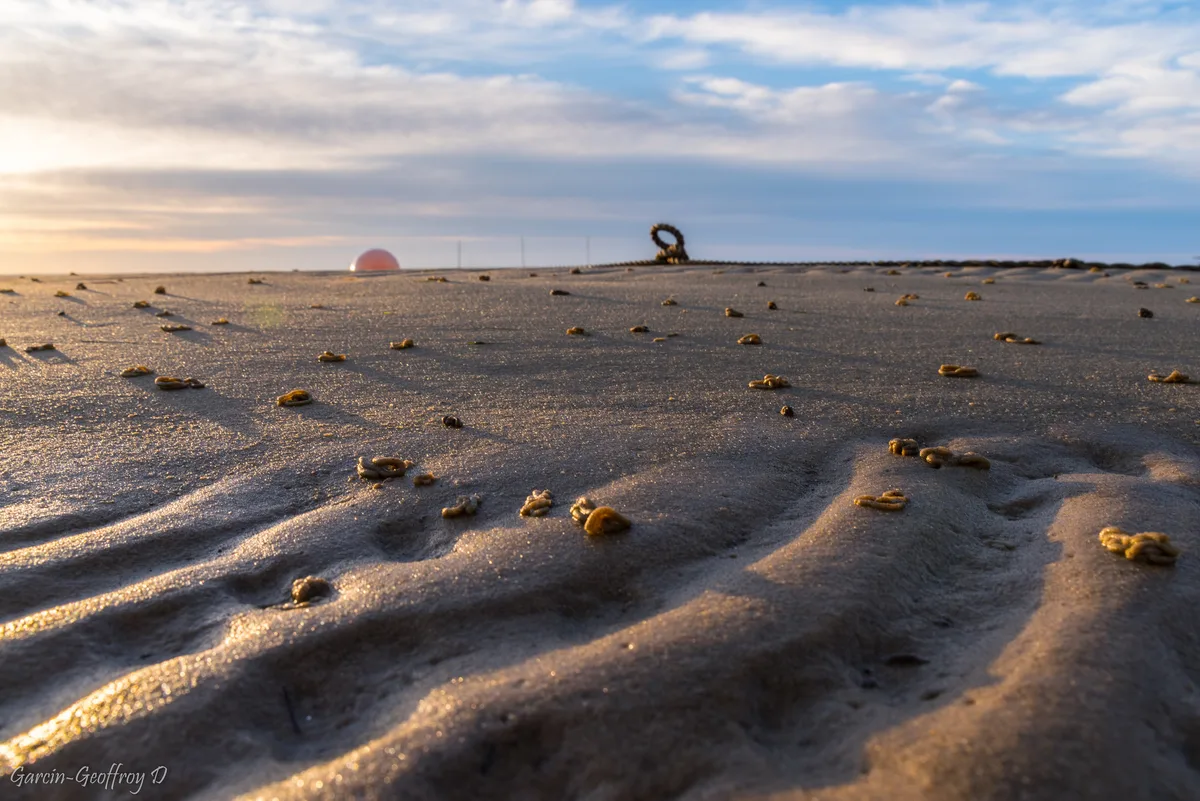 Jacquets Beach, Lège-Cap-Ferret, Nouvelle-Aquitaine, France — 4