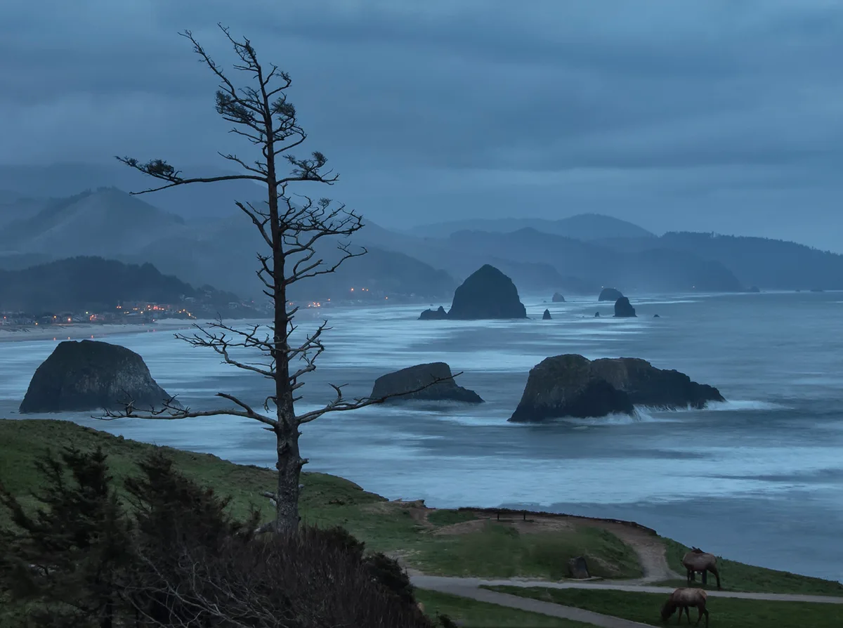 Crescent Beach, Cannon Beach, Pacific Northwest, United States — 6
