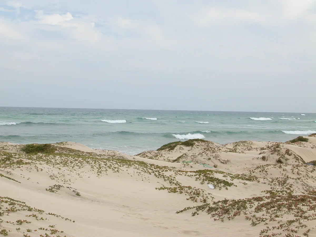 Plage de Ponta do Sapal, Espargos, Cape Verde, Cap-Vert — 2