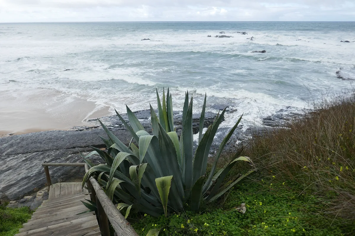 Carriagem Beach, Aljezur, Alentejo Coast, Portugal — 3