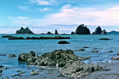 Toleak Point Beach, Jefferson County, Pacific Northwest, United States — 3