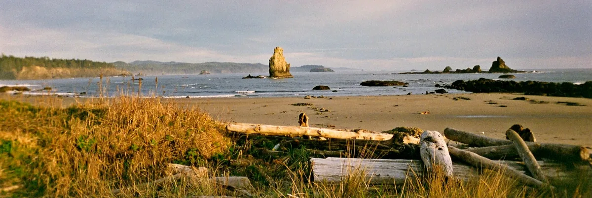 Toleak Point Beach, Jefferson County, Pacific Northwest, United States — 4