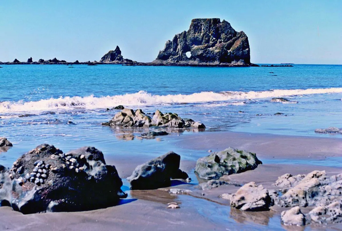 Toleak Point Beach, Jefferson County, Pacific Northwest, United States