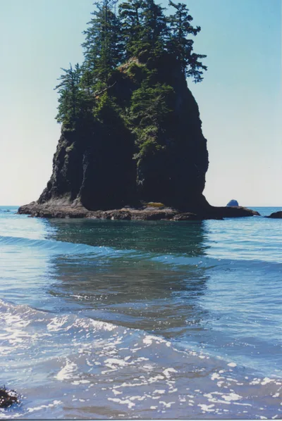 Toleak Point Beach, Jefferson County, Pacific Northwest, United States — 6