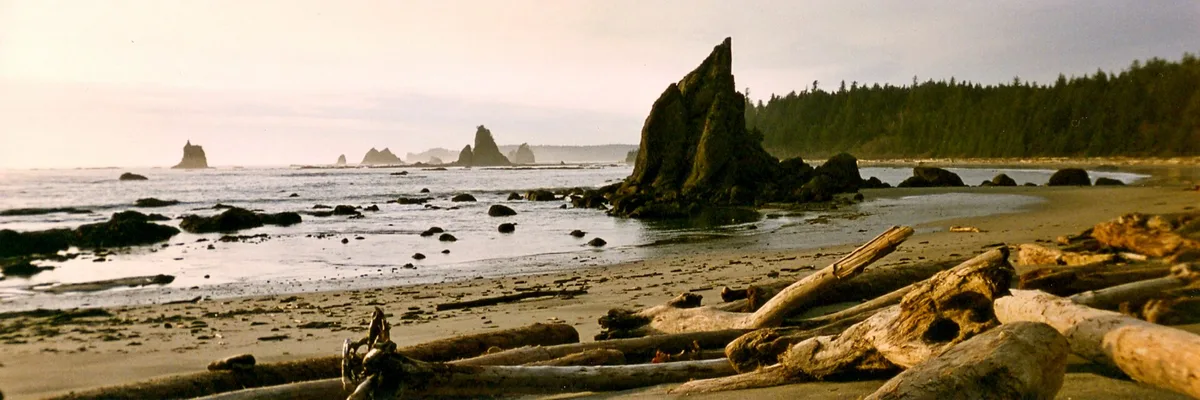 Toleak Point Beach, Jefferson County, Pacific Northwest, United States — 2
