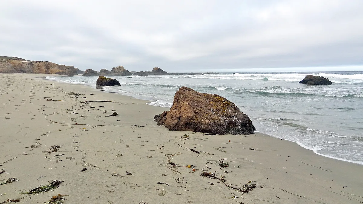 Playa de Pudding Creek, Fort Bragg, California Coast, Estados Unidos — 4