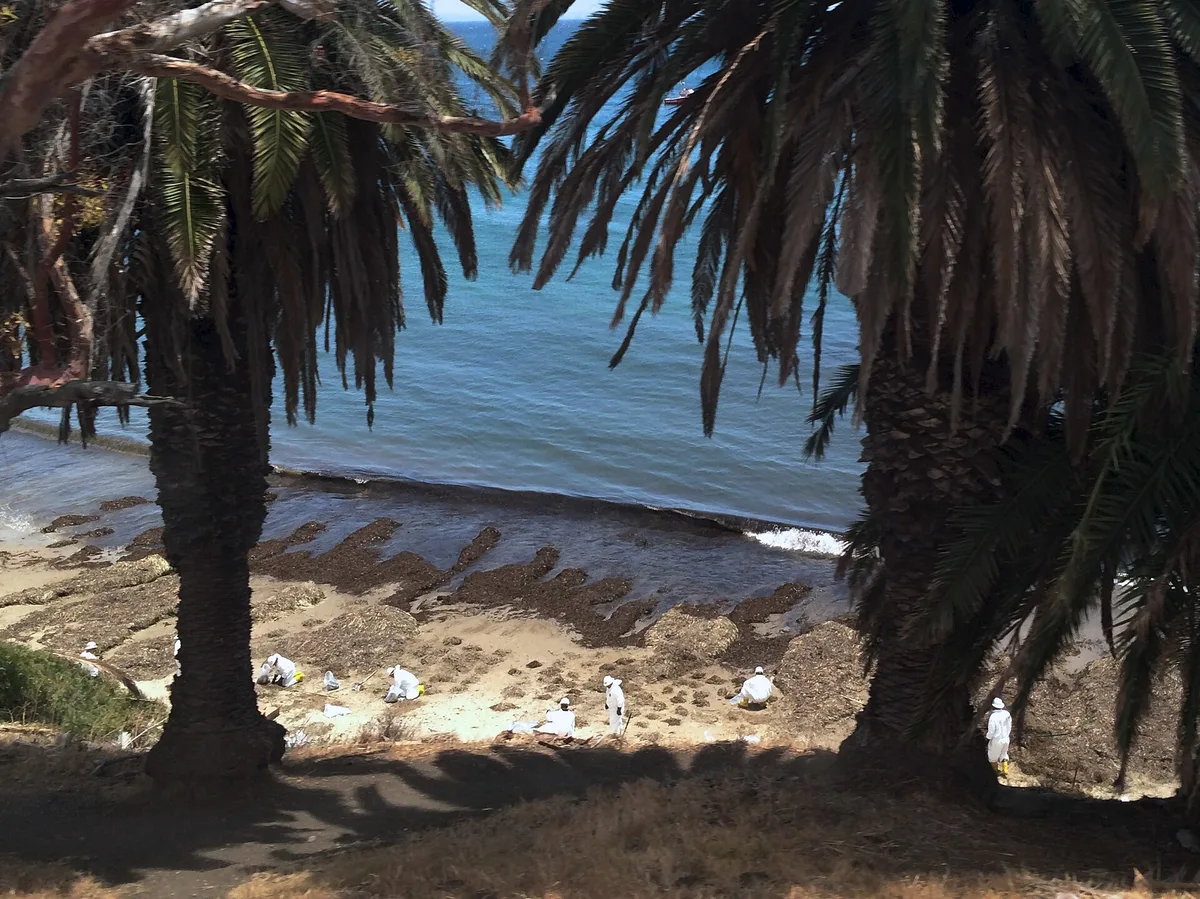 Refugio State Beach, Santa Barbara County (unincorporated), California Coast, United States — 3