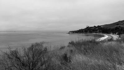 Refugio State Beach