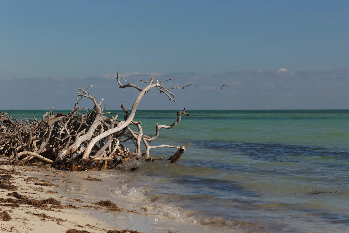 Bahia Honda State Park-Strand, Monroe County, Florida Keys, Vereinigte Staaten — 5