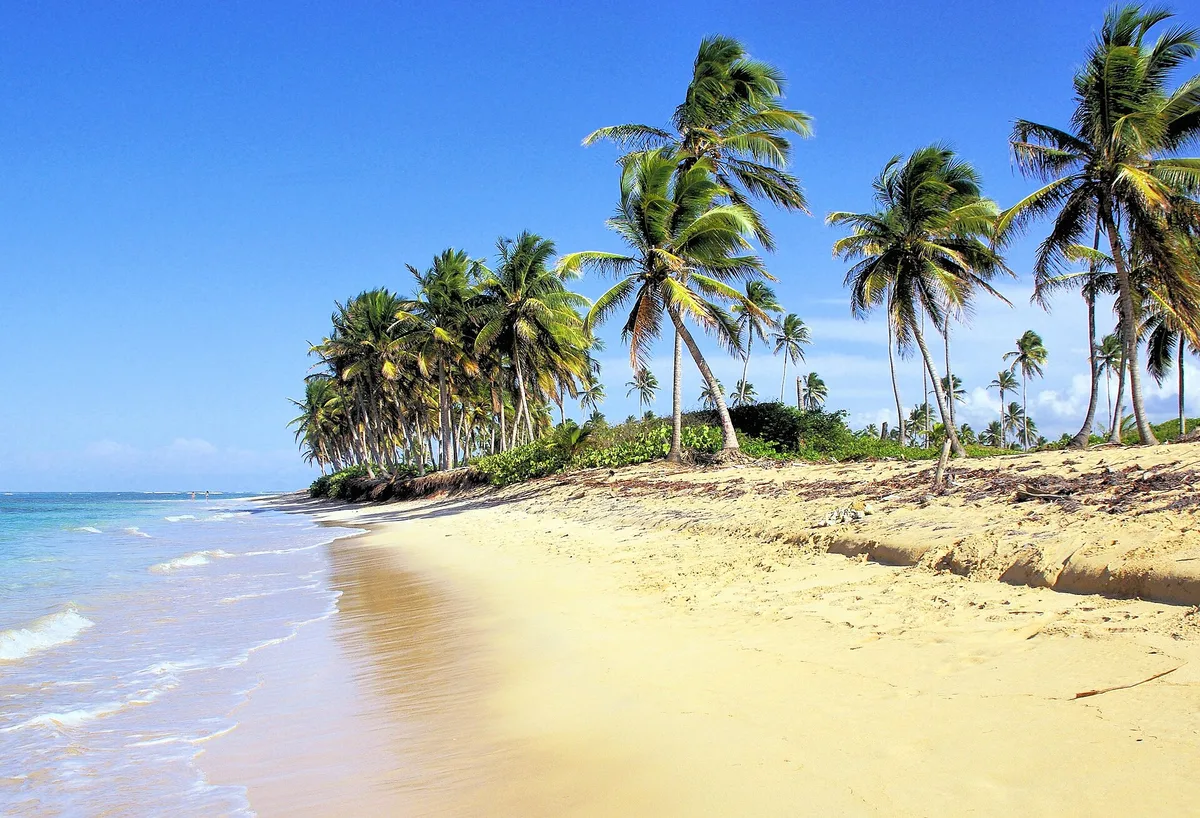 Bávaro Beach, Higüey, La Altagracia, Dominican Republic