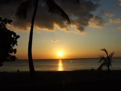 Haleiwa Ali'i Beach Park